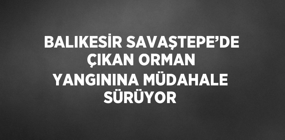 BALIKESİR SAVAŞTEPE’DE ÇIKAN ORMAN YANGININA MÜDAHALE SÜRÜYOR