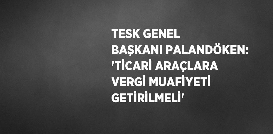 TESK GENEL BAŞKANI PALANDÖKEN: 'TİCARİ ARAÇLARA VERGİ MUAFİYETİ GETİRİLMELİ'