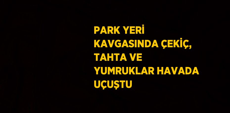 PARK YERİ KAVGASINDA ÇEKİÇ, TAHTA VE YUMRUKLAR HAVADA UÇUŞTU