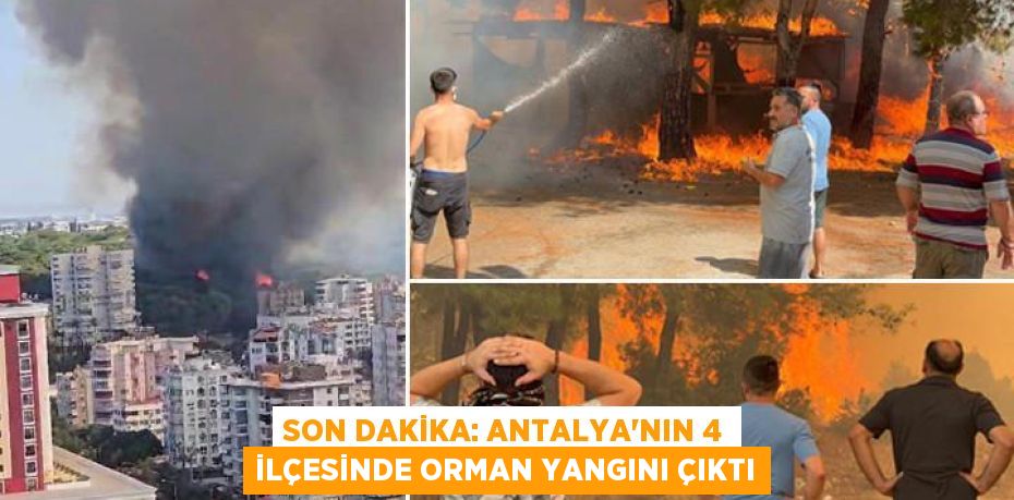 Son Dakika: Antalya’nın 4 İlçesinde Orman Yangını Çıktı