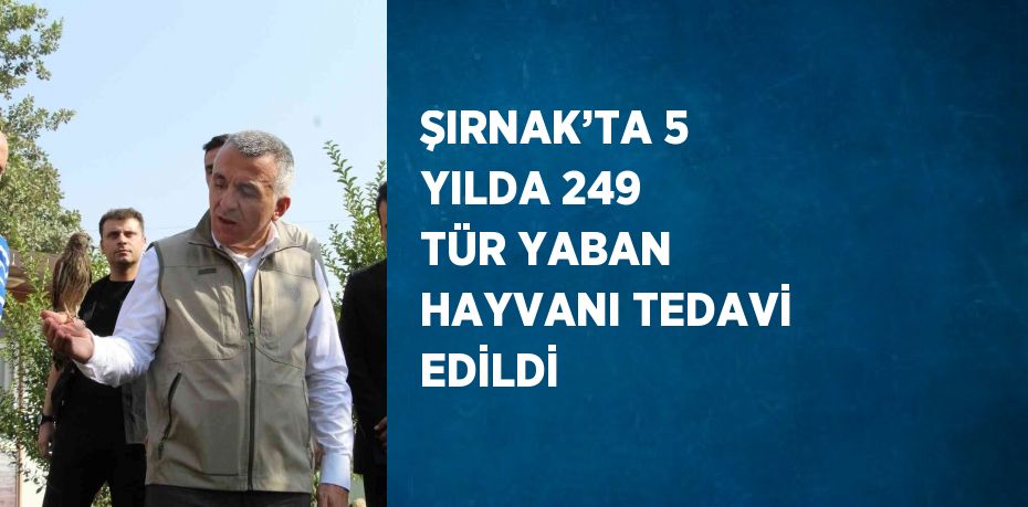 ŞIRNAK’TA 5 YILDA 249 TÜR YABAN HAYVANI TEDAVİ EDİLDİ