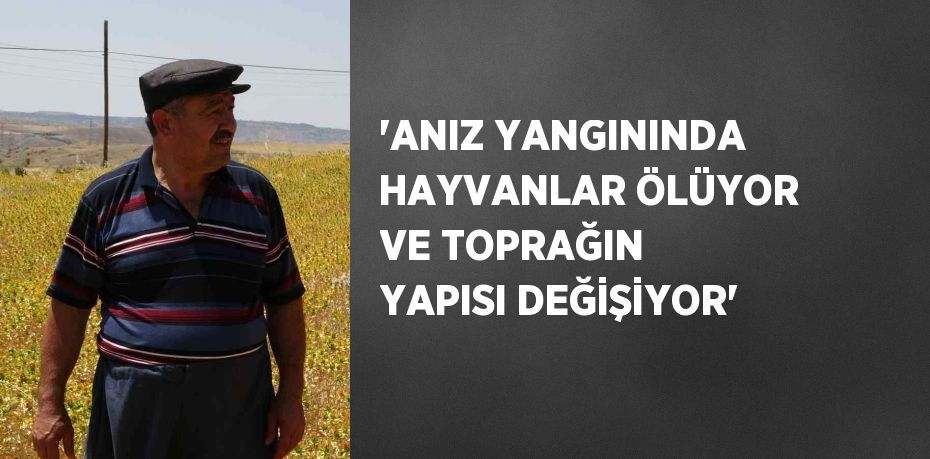 'ANIZ YANGININDA HAYVANLAR ÖLÜYOR VE TOPRAĞIN YAPISI DEĞİŞİYOR'