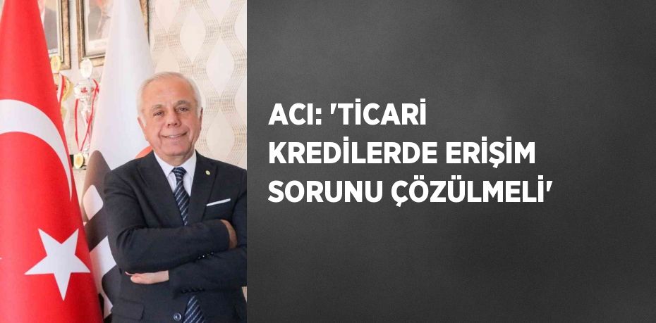 ACI: 'TİCARİ KREDİLERDE ERİŞİM SORUNU ÇÖZÜLMELİ'