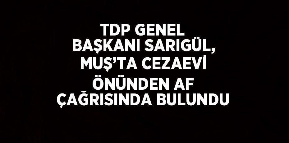 TDP GENEL BAŞKANI SARIGÜL, MUŞ’TA CEZAEVİ ÖNÜNDEN AF ÇAĞRISINDA BULUNDU