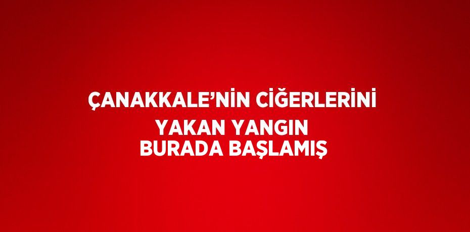 ÇANAKKALE’NİN CİĞERLERİNİ YAKAN YANGIN BURADA BAŞLAMIŞ