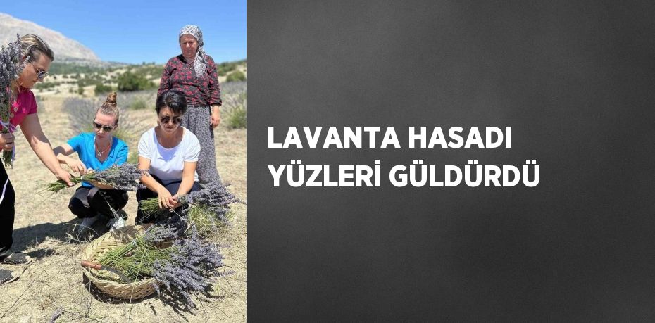 LAVANTA HASADI YÜZLERİ GÜLDÜRDÜ