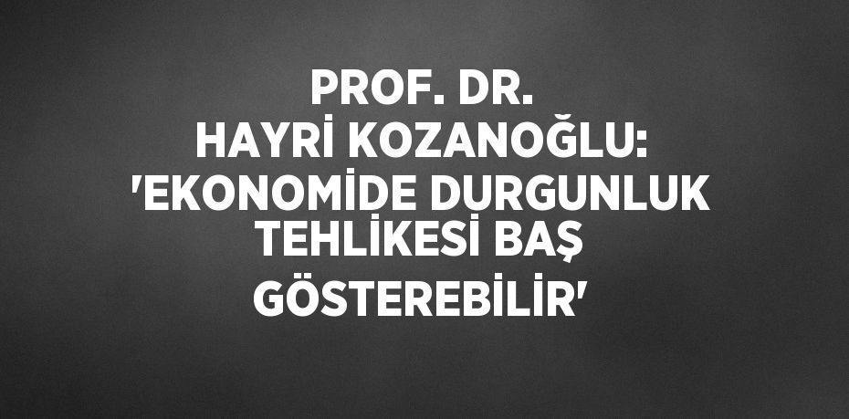 PROF. DR. HAYRİ KOZANOĞLU: 'EKONOMİDE DURGUNLUK TEHLİKESİ BAŞ GÖSTEREBİLİR'