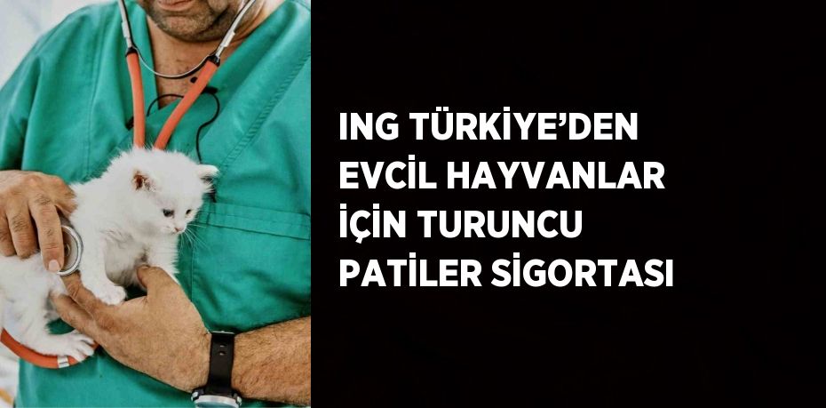 ING TÜRKİYE’DEN EVCİL HAYVANLAR İÇİN TURUNCU PATİLER SİGORTASI