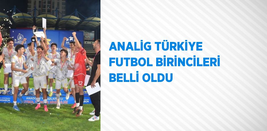 ANALİG TÜRKİYE FUTBOL BİRİNCİLERİ BELLİ OLDU