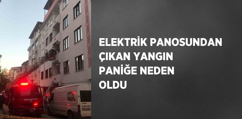 ELEKTRİK PANOSUNDAN ÇIKAN YANGIN PANİĞE NEDEN OLDU