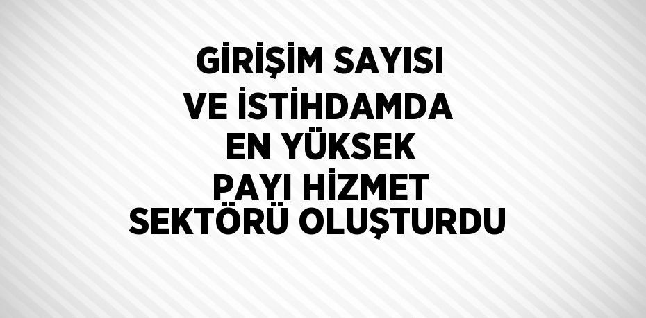 GİRİŞİM SAYISI VE İSTİHDAMDA EN YÜKSEK PAYI HİZMET SEKTÖRÜ OLUŞTURDU