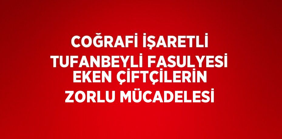 COĞRAFİ İŞARETLİ TUFANBEYLİ FASULYESİ EKEN ÇİFTÇİLERİN ZORLU MÜCADELESİ