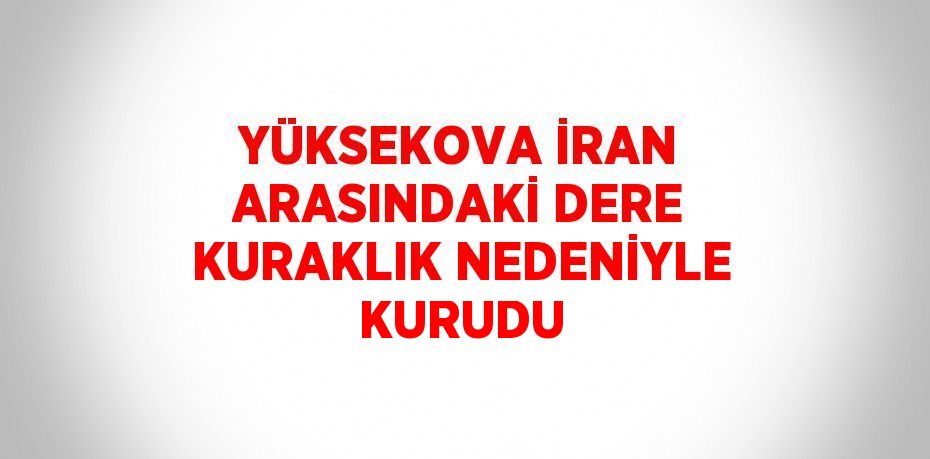 YÜKSEKOVA İRAN ARASINDAKİ DERE KURAKLIK NEDENİYLE KURUDU