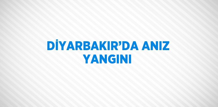 DİYARBAKIR’DA ANIZ YANGINI