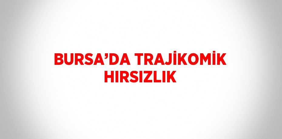 BURSA’DA TRAJİKOMİK HIRSIZLIK