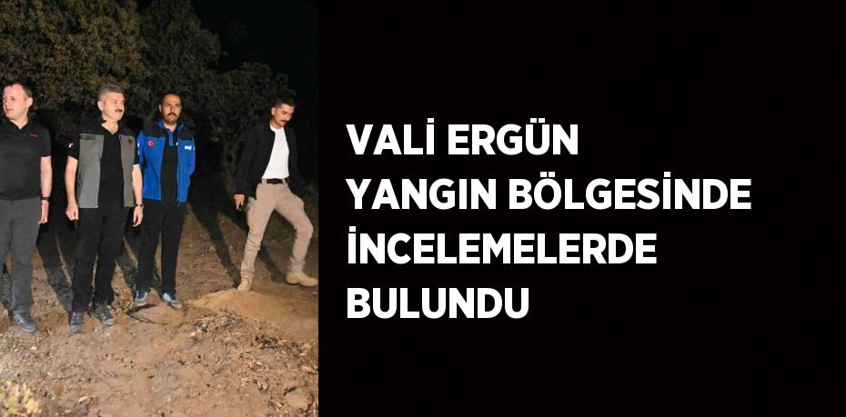 VALİ ERGÜN YANGIN BÖLGESİNDE İNCELEMELERDE BULUNDU