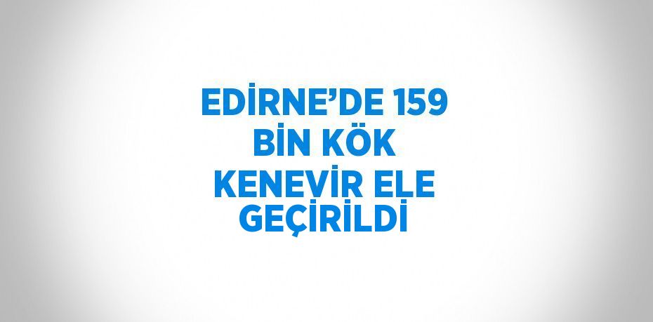 EDİRNE’DE 159 BİN KÖK KENEVİR ELE GEÇİRİLDİ