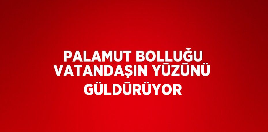 PALAMUT BOLLUĞU VATANDAŞIN YÜZÜNÜ GÜLDÜRÜYOR