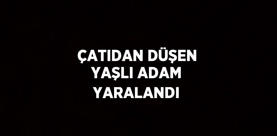 ÇATIDAN DÜŞEN YAŞLI ADAM YARALANDI