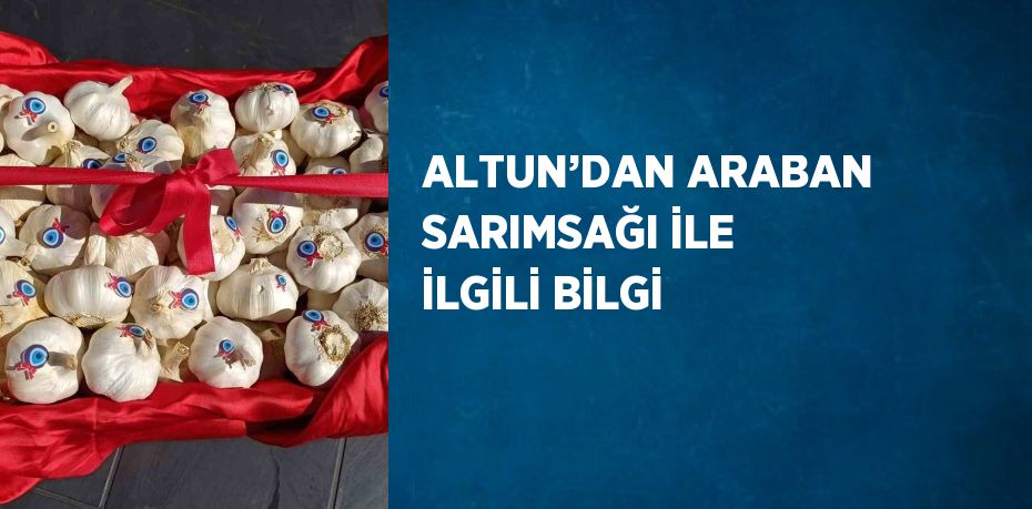 ALTUN’DAN ARABAN SARIMSAĞI İLE İLGİLİ BİLGİ