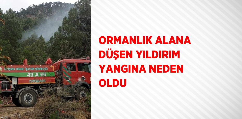 ORMANLIK ALANA DÜŞEN YILDIRIM YANGINA NEDEN OLDU