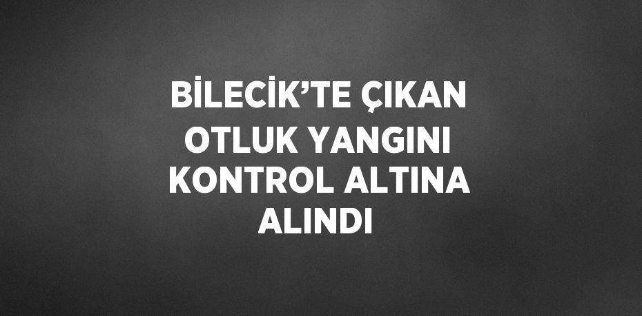 BİLECİK’TE ÇIKAN OTLUK YANGINI KONTROL ALTINA ALINDI