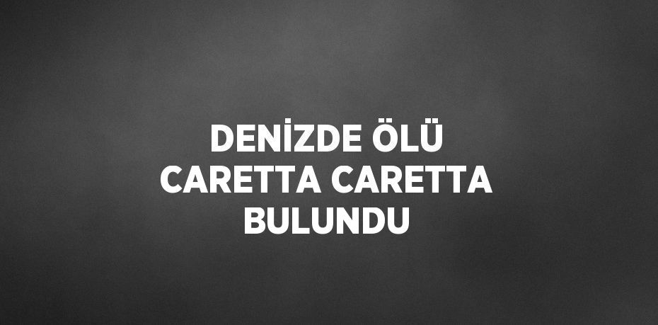 DENİZDE ÖLÜ CARETTA CARETTA BULUNDU