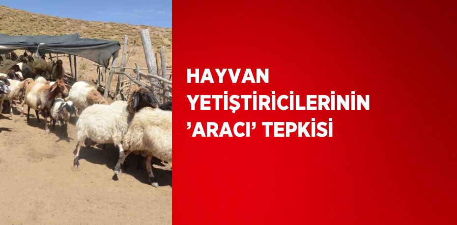 HAYVAN YETİŞTİRİCİLERİNİN ’ARACI’ TEPKİSİ