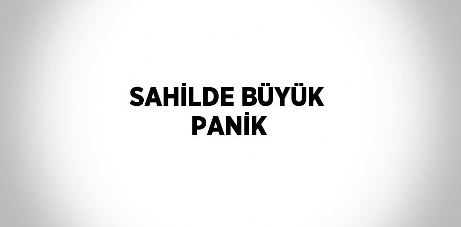 SAHİLDE BÜYÜK PANİK