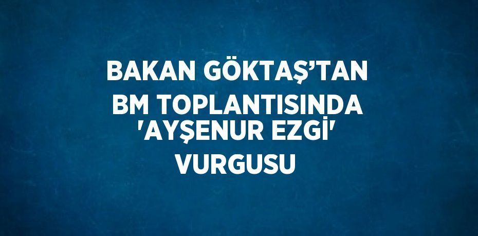 BAKAN GÖKTAŞ’TAN BM TOPLANTISINDA 'AYŞENUR EZGİ' VURGUSU