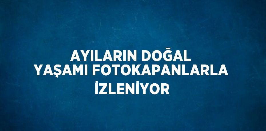 AYILARIN DOĞAL YAŞAMI FOTOKAPANLARLA İZLENİYOR