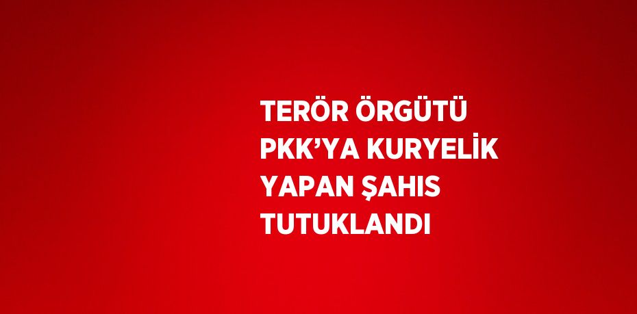 TERÖR ÖRGÜTÜ PKK’YA KURYELİK YAPAN ŞAHIS TUTUKLANDI