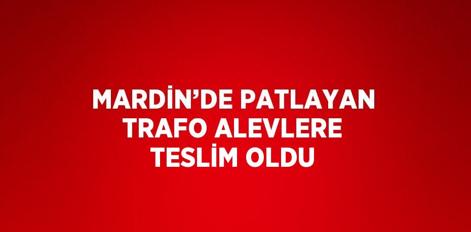 MARDİN’DE PATLAYAN TRAFO ALEVLERE TESLİM OLDU