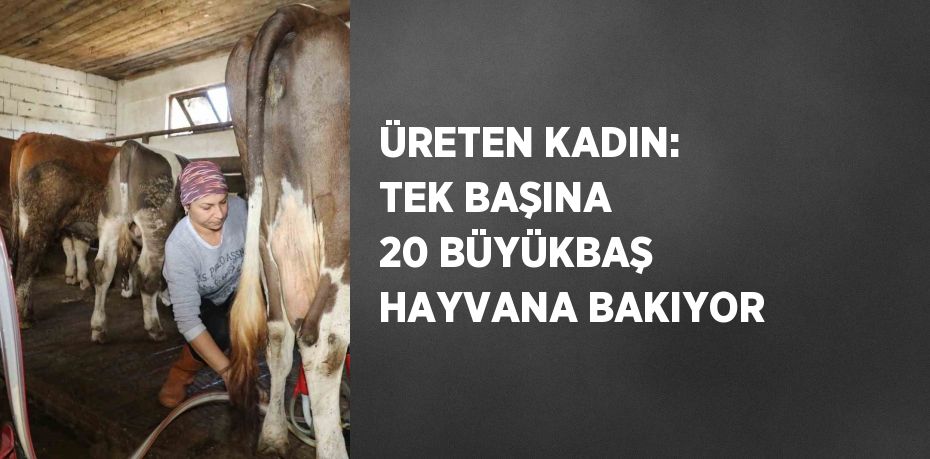 ÜRETEN KADIN: TEK BAŞINA 20 BÜYÜKBAŞ HAYVANA BAKIYOR