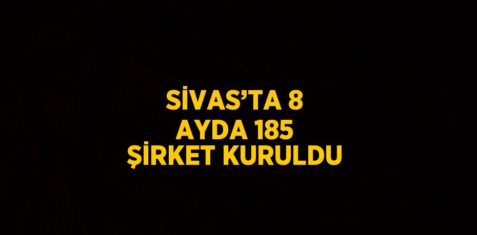 SİVAS’TA 8 AYDA 185 ŞİRKET KURULDU