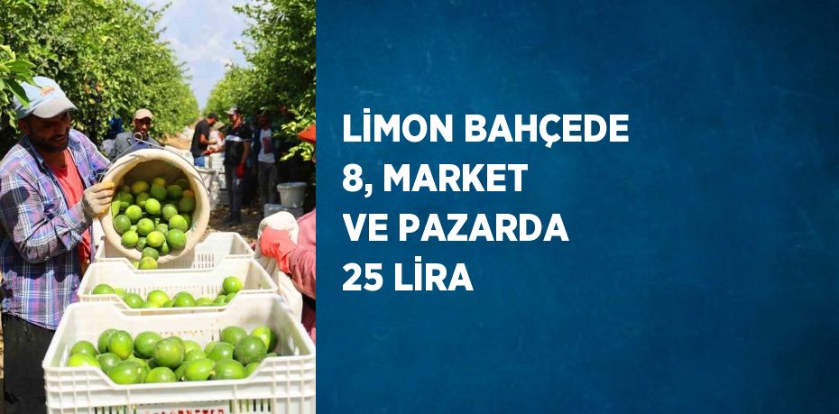 LİMON BAHÇEDE 8, MARKET VE PAZARDA 25 LİRA