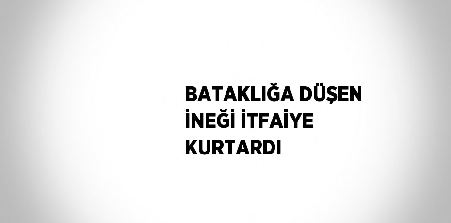 BATAKLIĞA DÜŞEN İNEĞİ İTFAİYE KURTARDI