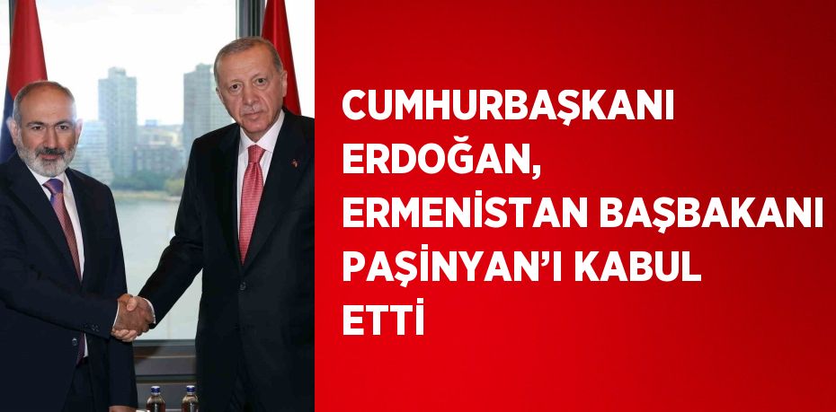 CUMHURBAŞKANI ERDOĞAN, ERMENİSTAN BAŞBAKANI PAŞİNYAN’I KABUL ETTİ