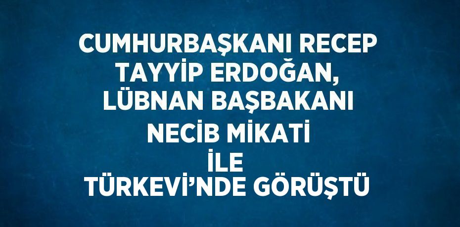 CUMHURBAŞKANI RECEP TAYYİP ERDOĞAN, LÜBNAN BAŞBAKANI NECİB MİKATİ İLE  TÜRKEVİ’NDE GÖRÜŞTÜ