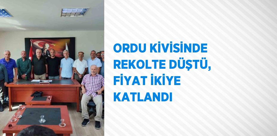 ORDU KİVİSİNDE REKOLTE DÜŞTÜ, FİYAT İKİYE KATLANDI