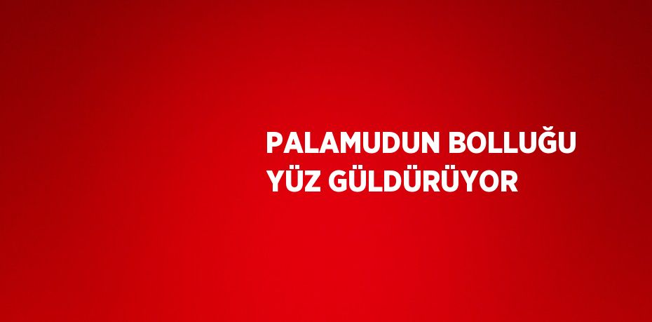 PALAMUDUN BOLLUĞU YÜZ GÜLDÜRÜYOR