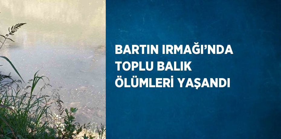 BARTIN IRMAĞI’NDA TOPLU BALIK ÖLÜMLERİ YAŞANDI