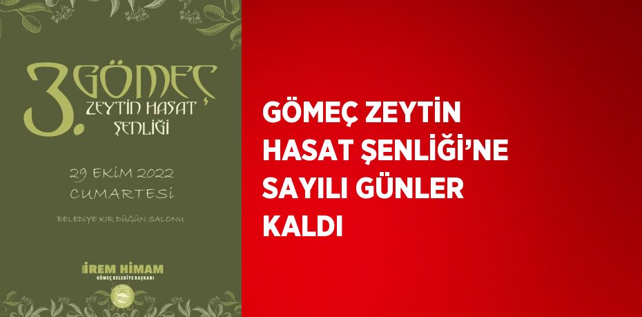 GÖMEÇ ZEYTİN HASAT ŞENLİĞİ’NE SAYILI GÜNLER KALDI