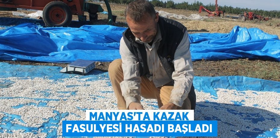 MANYAS’TA KAZAK FASULYESİ HASADI BAŞLADI