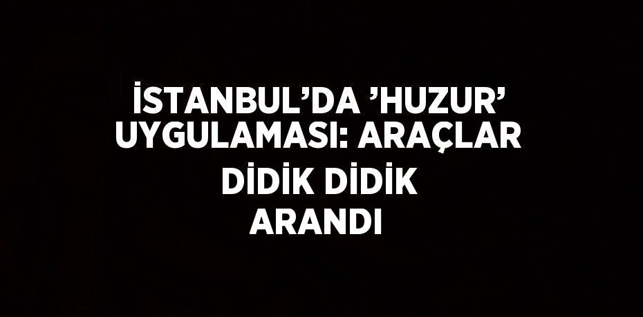 İSTANBUL’DA ’HUZUR’ UYGULAMASI: ARAÇLAR DİDİK DİDİK ARANDI