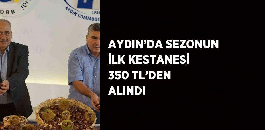 AYDIN’DA SEZONUN İLK KESTANESİ 350 TL’DEN ALINDI