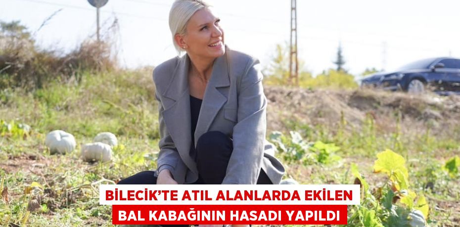 BİLECİK’TE ATIL ALANLARDA EKİLEN BAL KABAĞININ HASADI YAPILDI