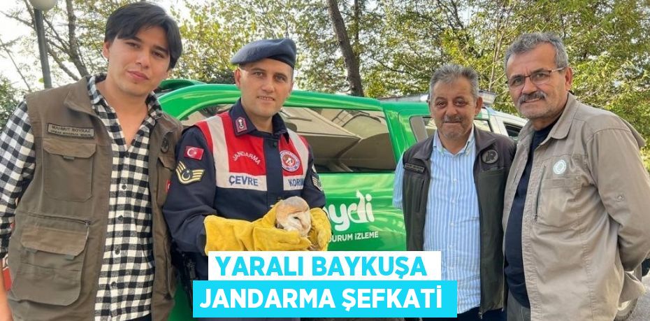 YARALI BAYKUŞA JANDARMA ŞEFKATİ