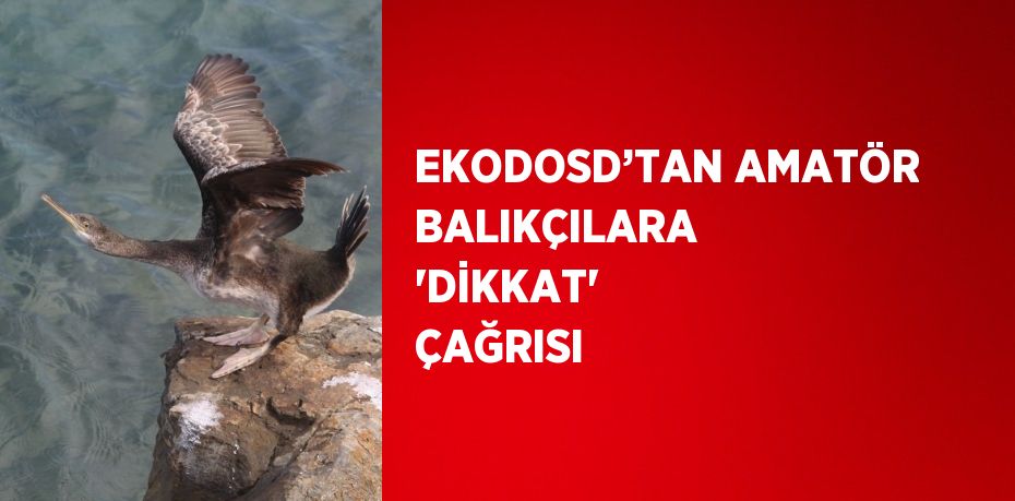 EKODOSD’TAN AMATÖR BALIKÇILARA 'DİKKAT' ÇAĞRISI