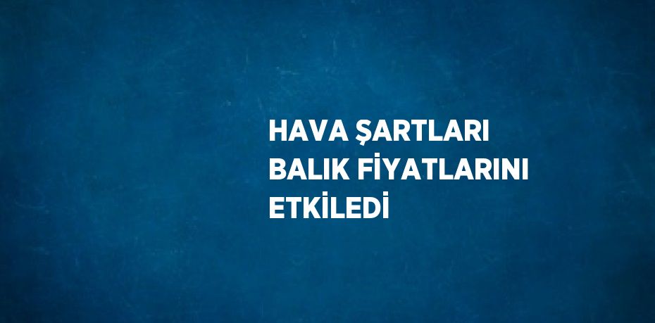 HAVA ŞARTLARI BALIK FİYATLARINI ETKİLEDİ